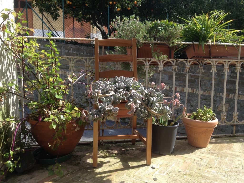 Guest House Trevignano Romano Buitenkant foto